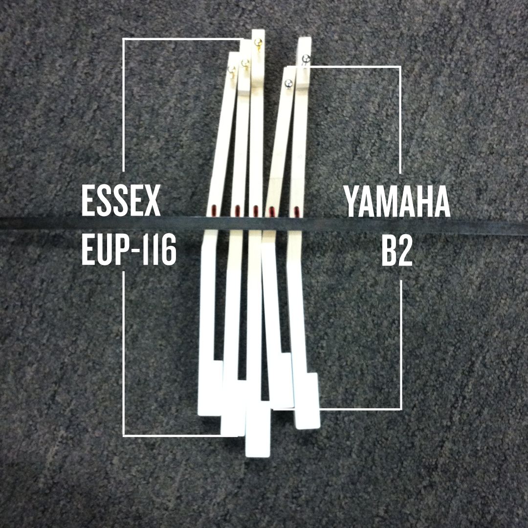 Essex_20EUP116_20vs_20Yamaha_20B2_20Keys